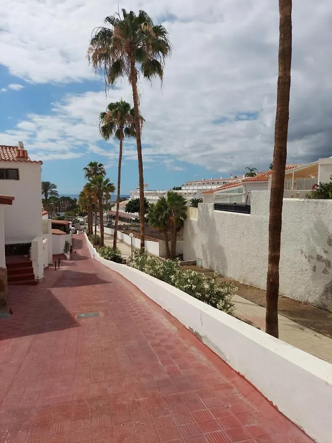 View Garden Apartment In Costa Adeje 西班牙